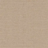 Monterey Sand - Swatch | Monterey Sand, ,