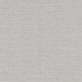 Monterey Silver - Swatch | Monterey Silver, ,